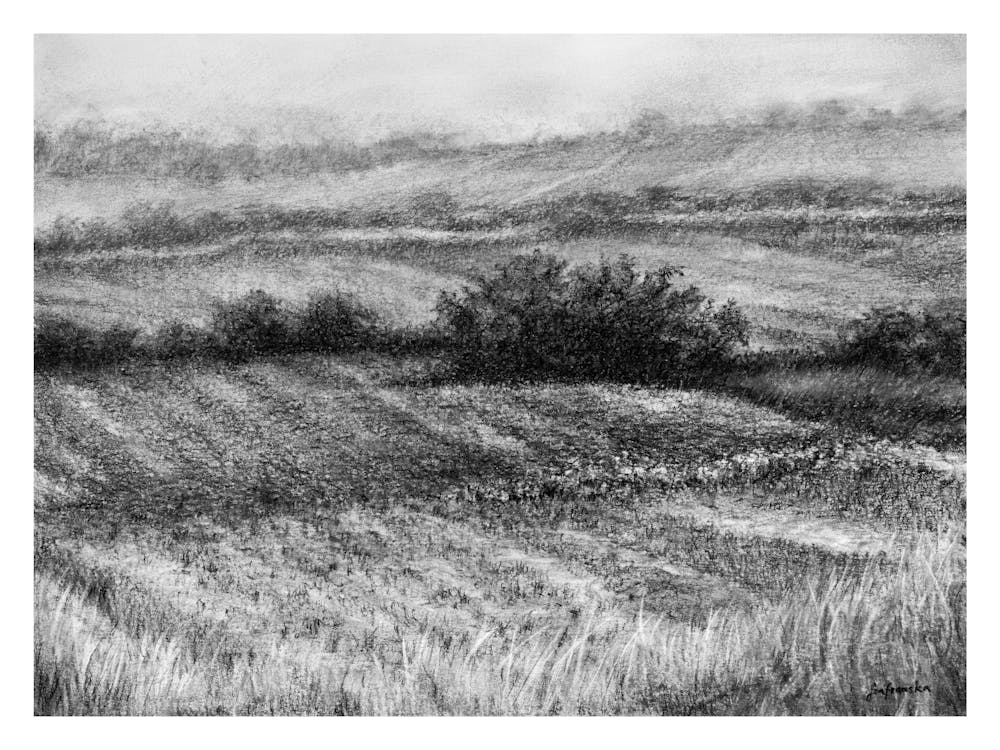 Horizon I - Charcoal Painting