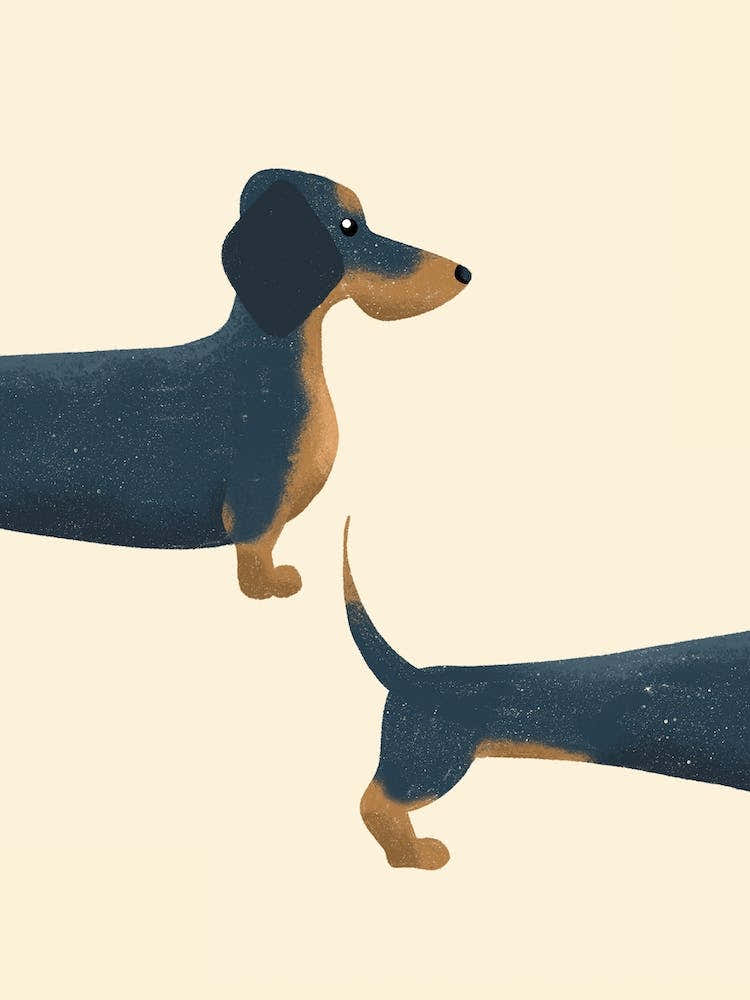 Sausage Both Halves 34