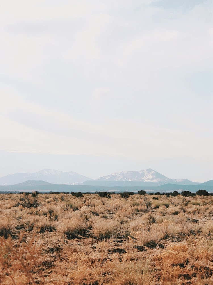 Northern Arizona View