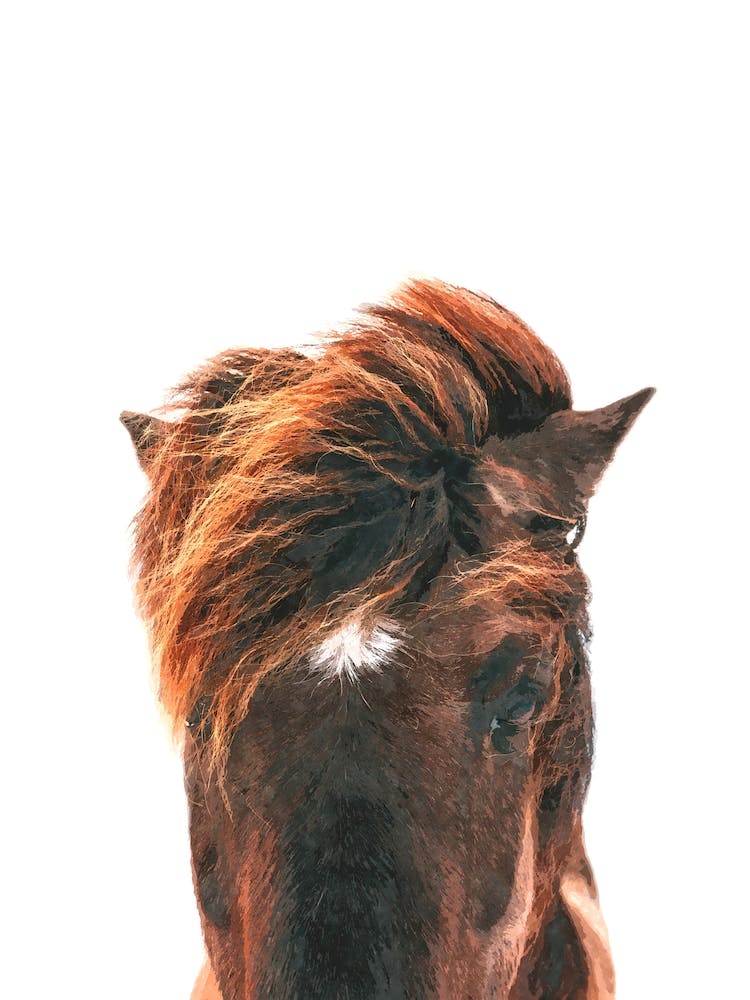 Brown Horse Head Watercolor