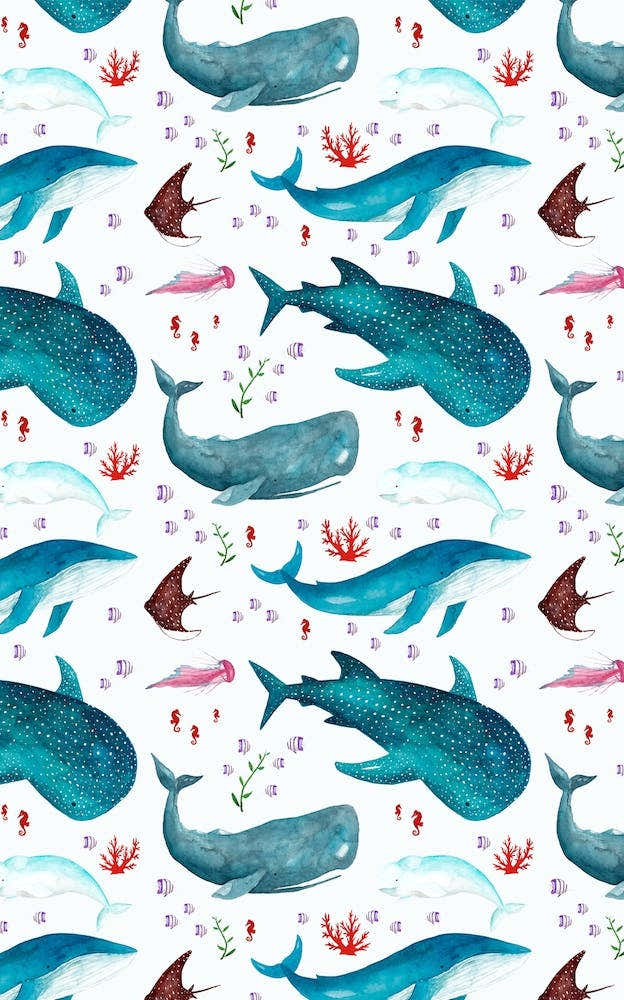 Whales Pattern