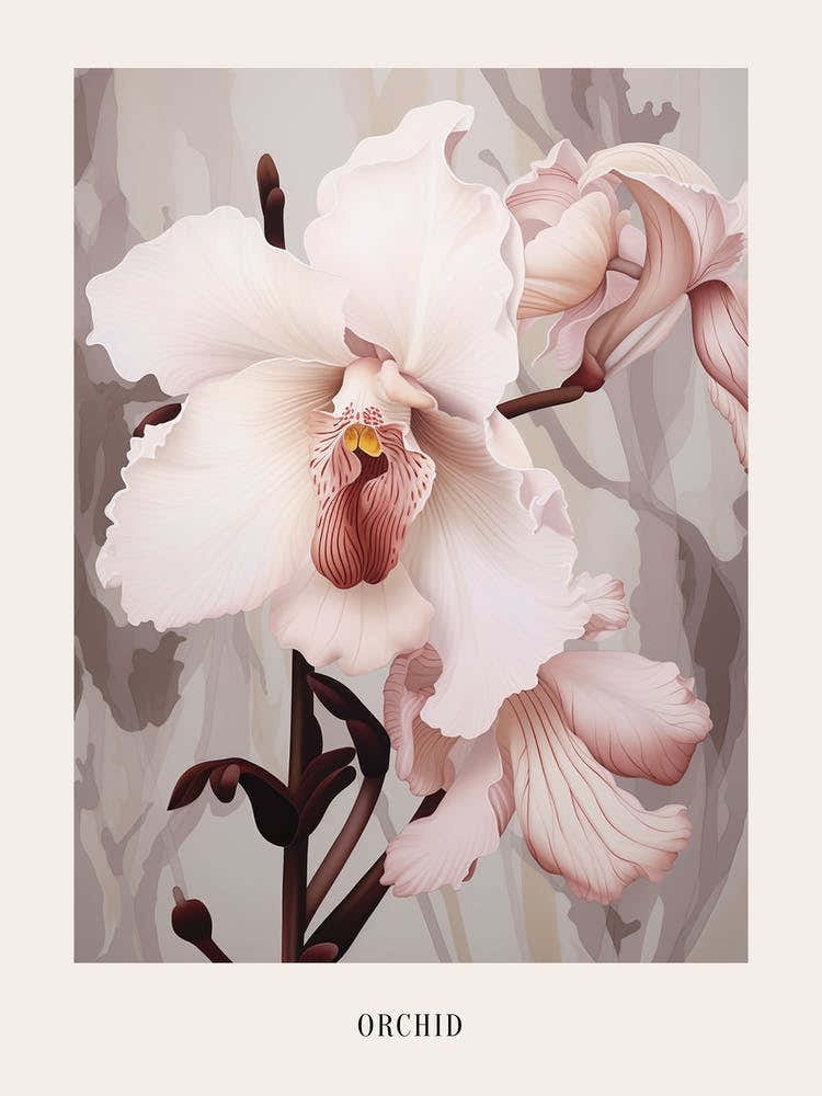 Floral Illustration Orchid 2 Poster