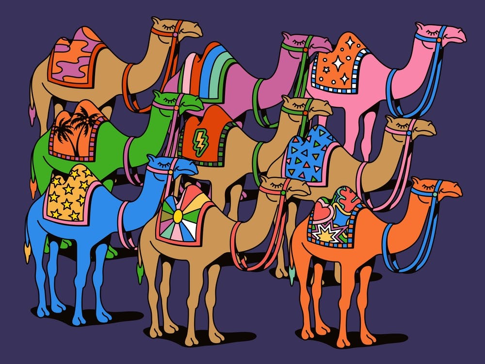 Landscape Colorful Desert Camels Colourful Morroco Sahara World Traveller Dubai Africa