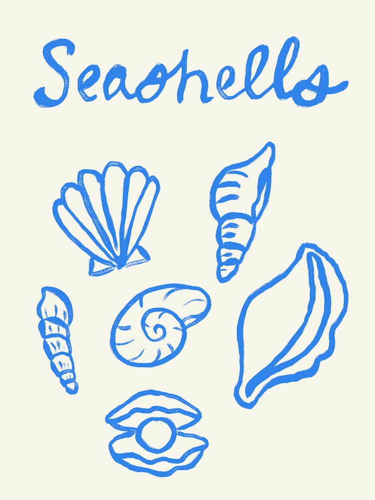 Seashell Doodles, Seashell Line Art, Minimalism Seashell Design 4