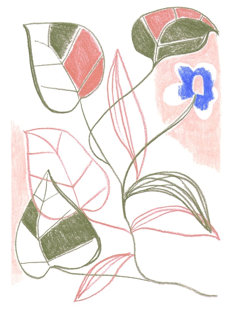 Pencil Leaves
