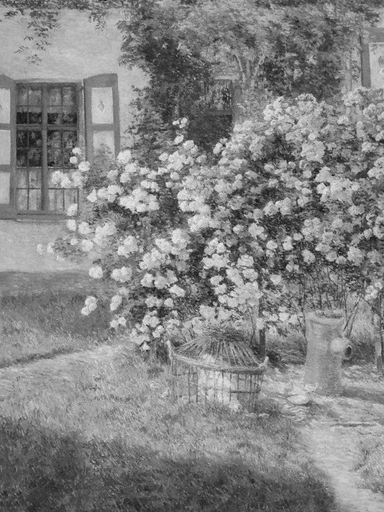 Roses In The Garden 1