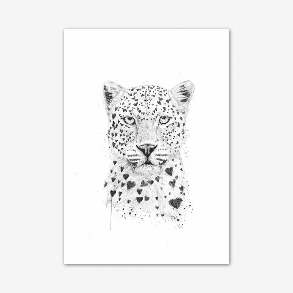 Lovely Leopard