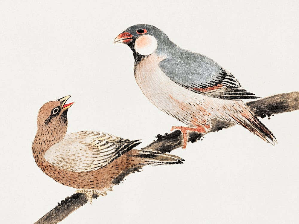 Birds, From Album Of Sketches, Katsushika Hokusai