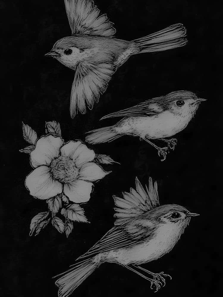 Birds And Flowers 1