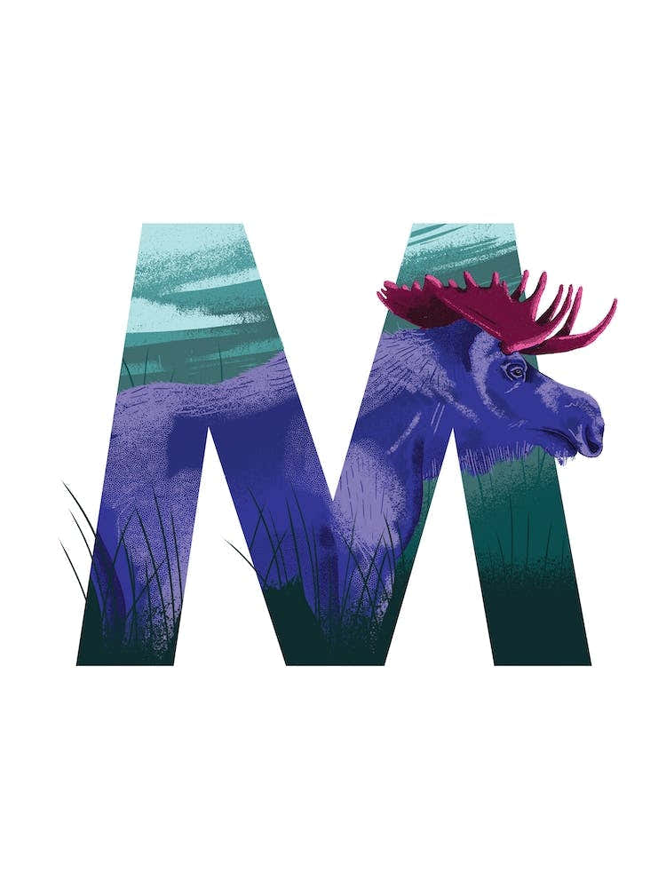 M Is For Moose