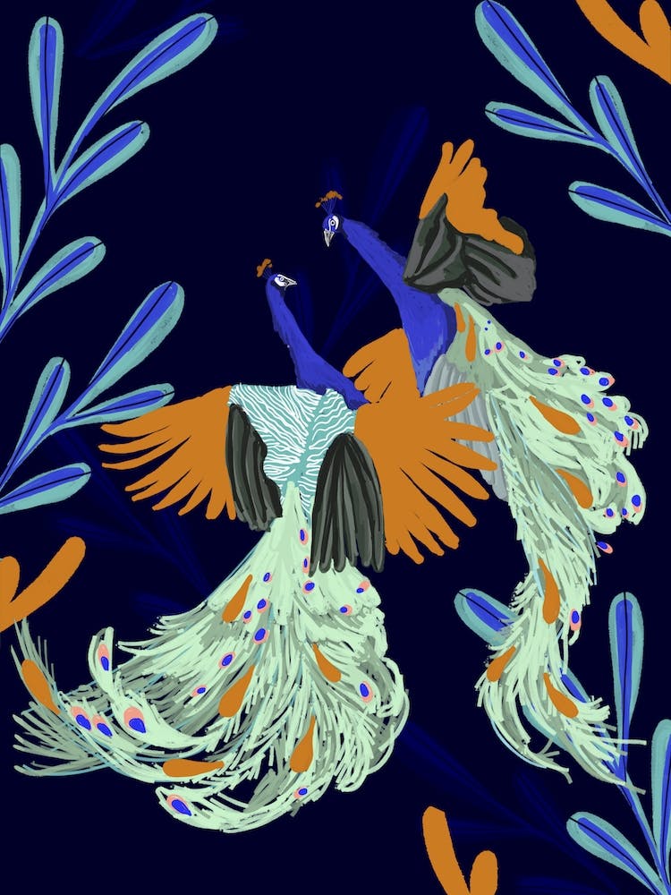 Peacock Dance