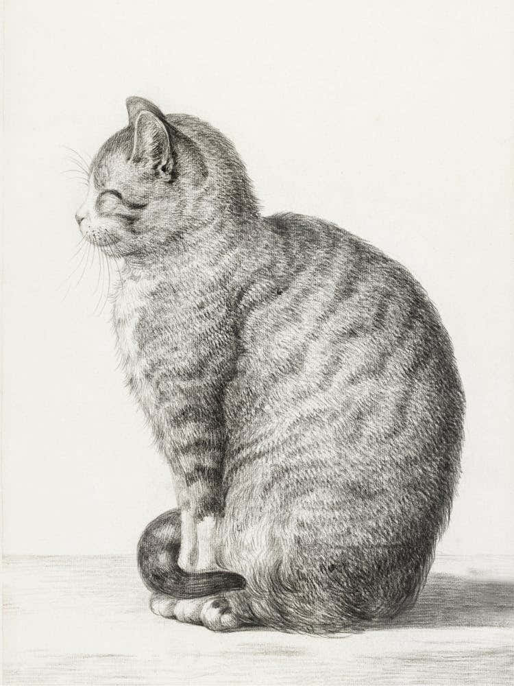 Sitting Cat, Jean Bernard