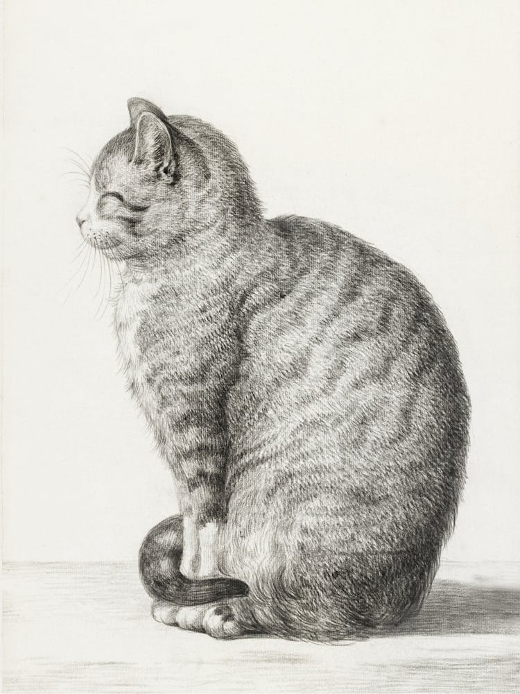 Sitting Cat, Jean Bernard