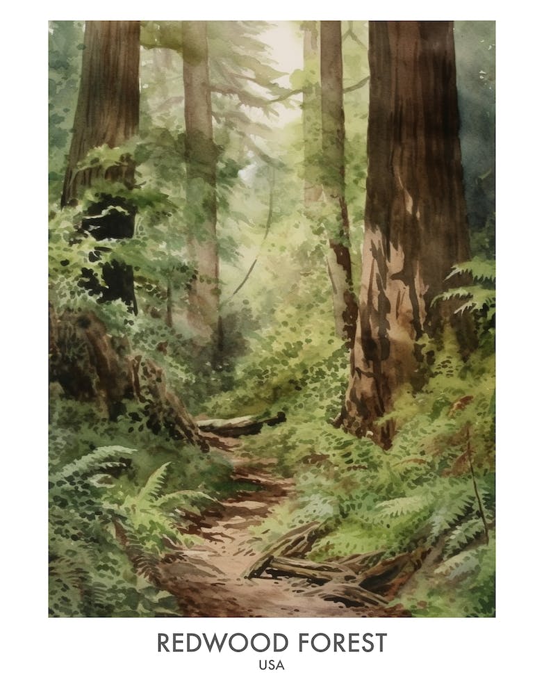 Redwood Forest 3 Watercolour Travel Poster