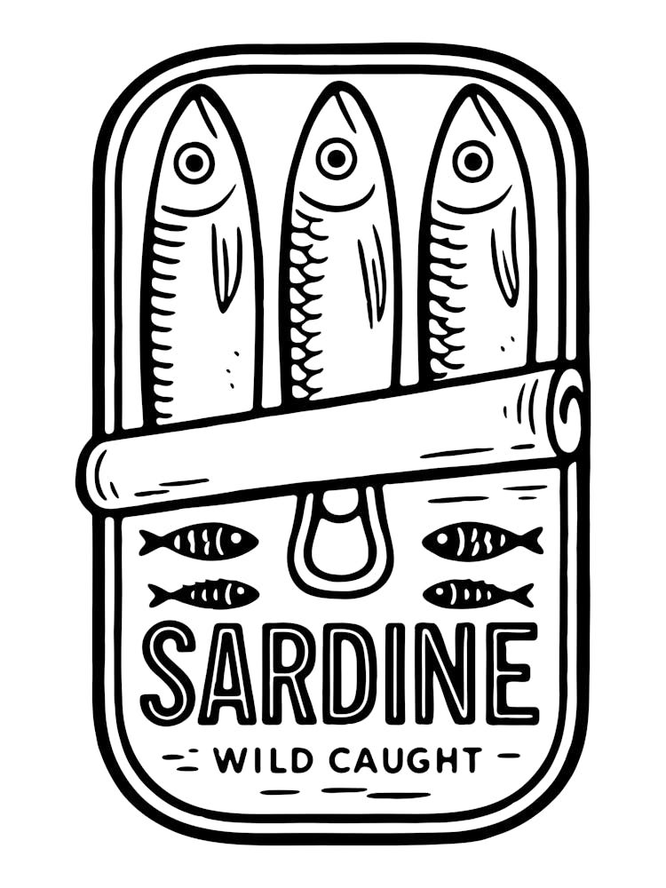 Sardine Wild Caught 5