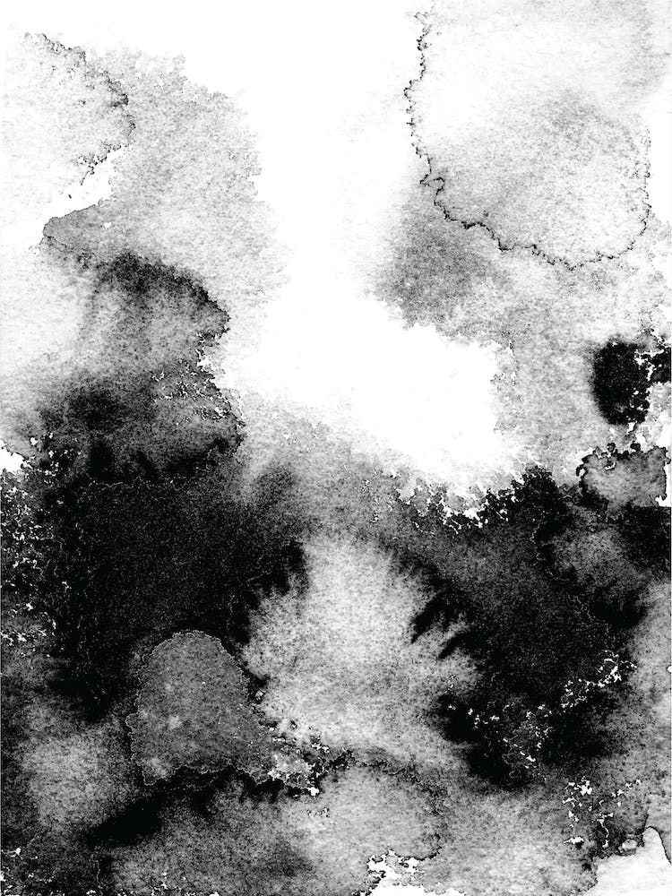 Majestic Monochrome Watercolour 12