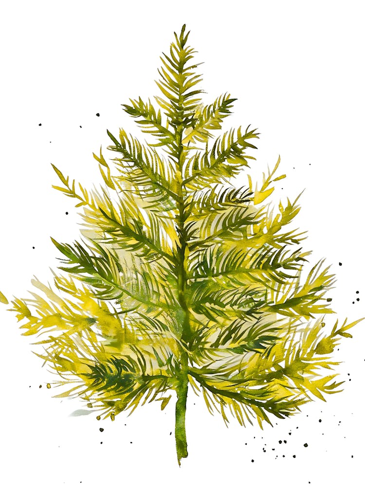 Watercolor Pine Tree