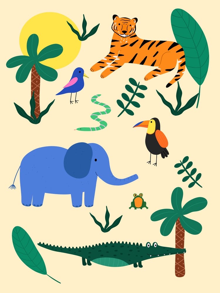 Jungle Animals