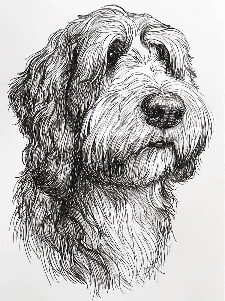 Old English Sheepdog Line Sketch 2