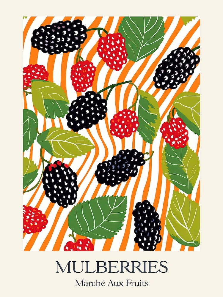 Marche Aux Fruits Mulberries Fruit Summer Illustration 3