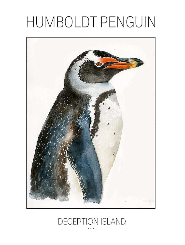 Humboldt Penguin Deception Island Watercolour Painting 3 Poster