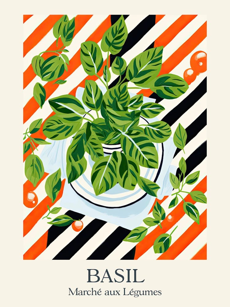 Marche Aux Legumes Basil Summer Illustration 3
