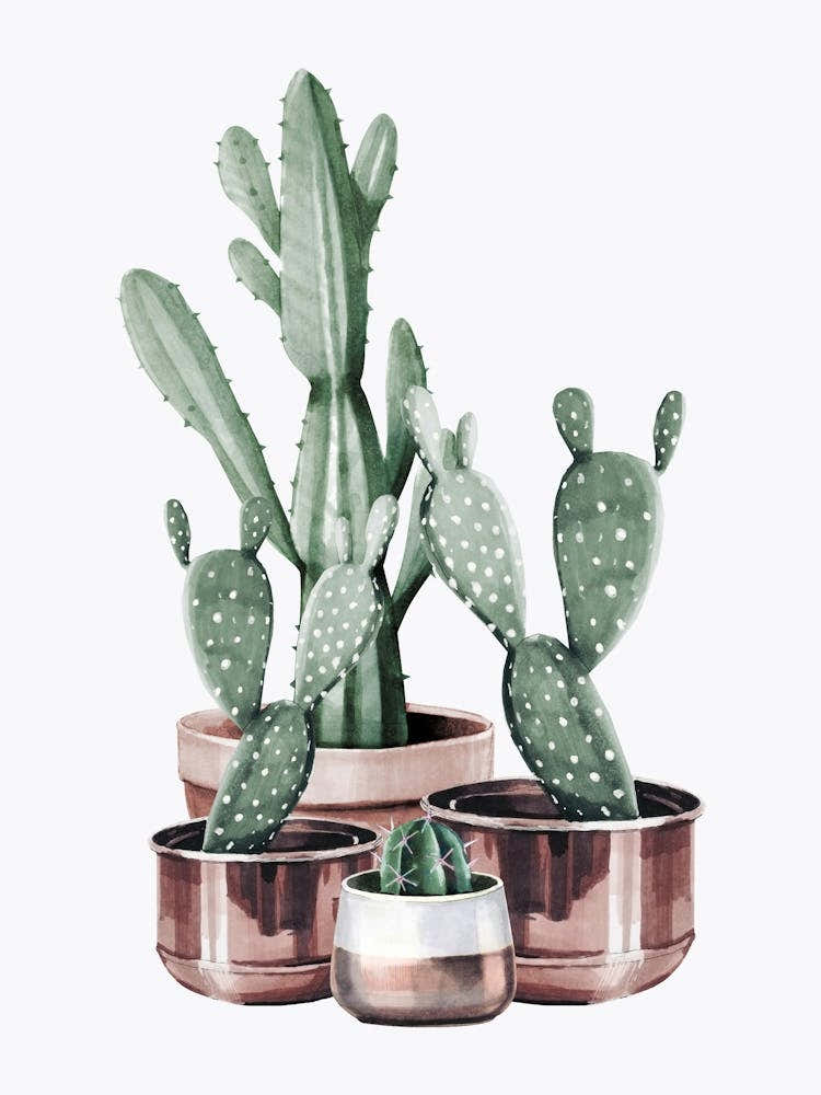Watercolor Cactus In Rose Gold Pots