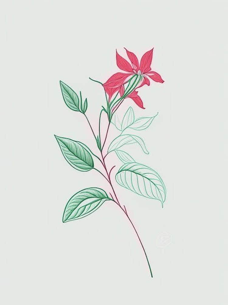 Peppermint Floral Minimal Line Drawing 5 Flower