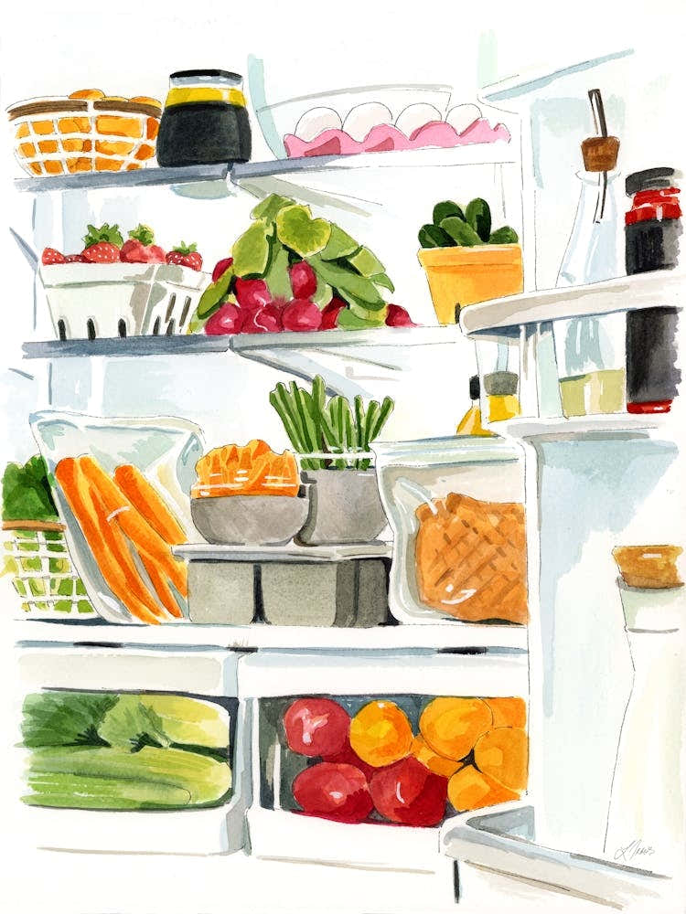 Refridgerator Still Life #3