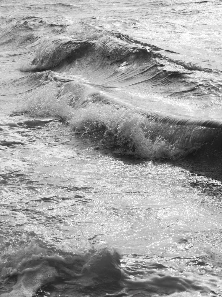 Take Me Surfing