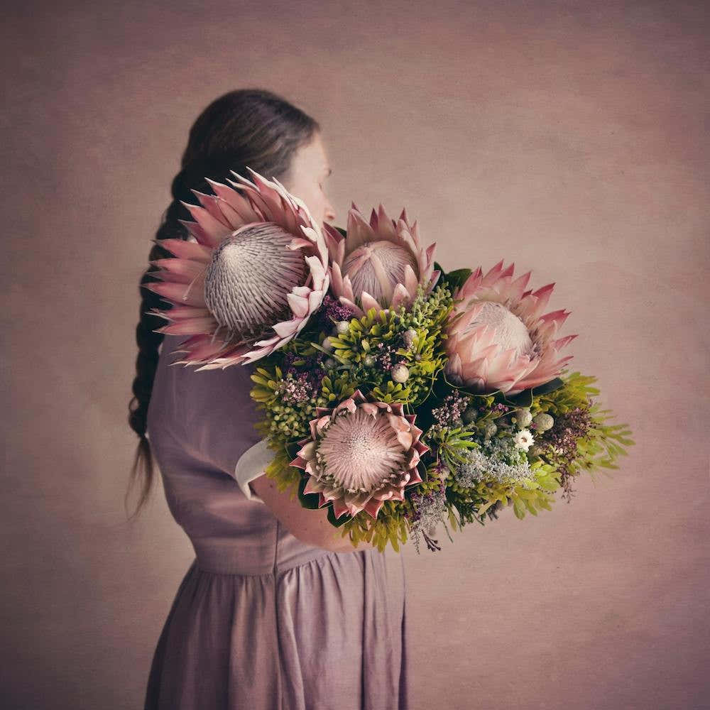 Protea Girl 2 Square