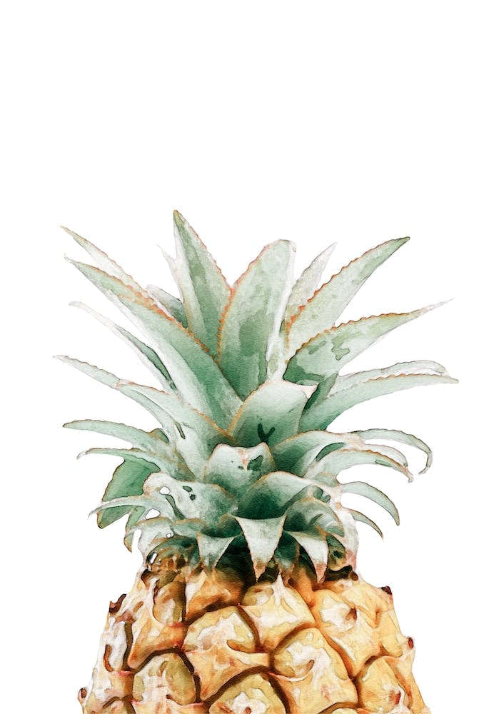 Watercolor Pineapple I