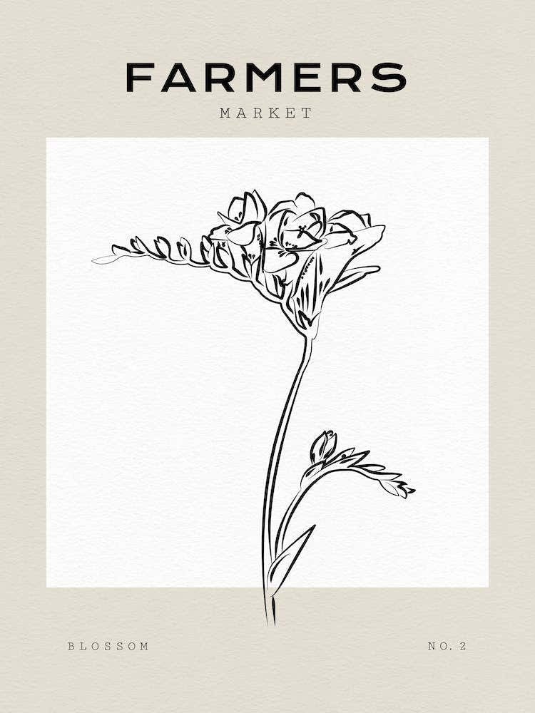 Boho Bohemian 9 Gladiolus