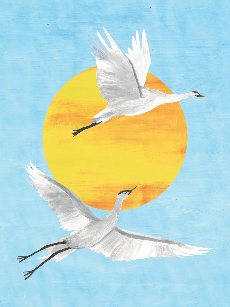 Lucky Cranes