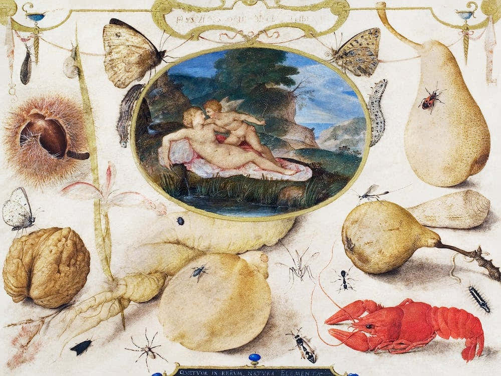 "Venus Disarming Amor" In A Medallion Surrounded By Plants, Fruits, Insects And Shellfish, Joris Hoefnagel