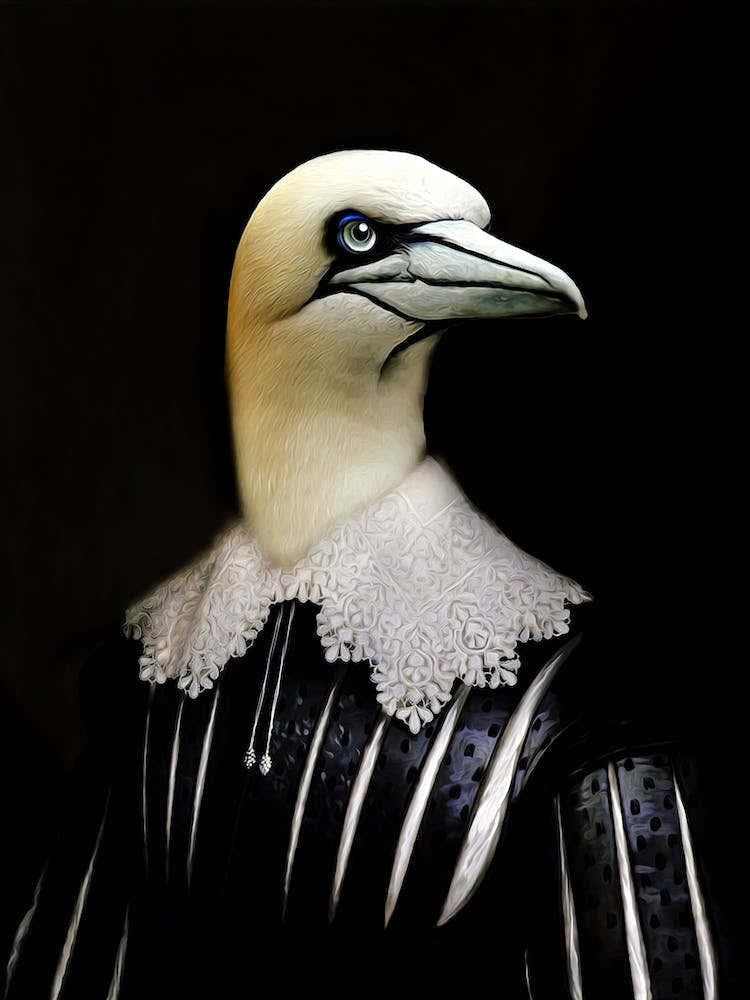 Mister Friedrich Bird Pet Portraits