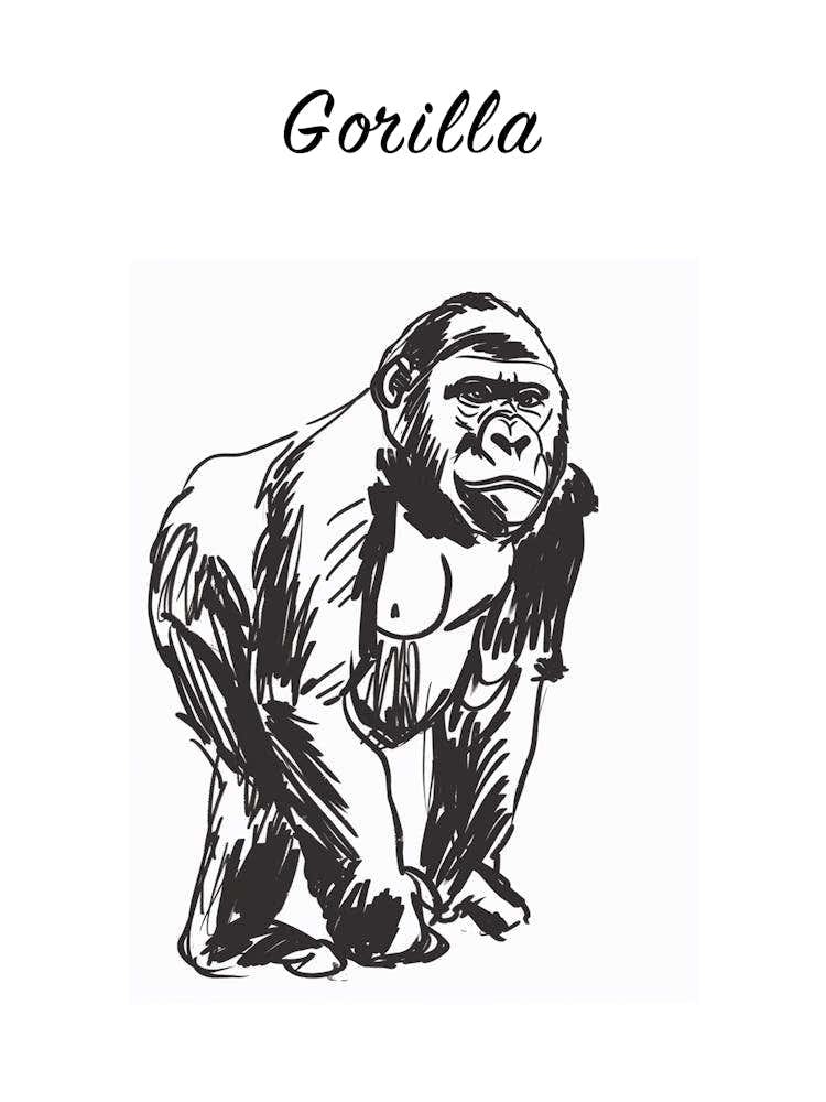 B&W Gorilla 2 Poster