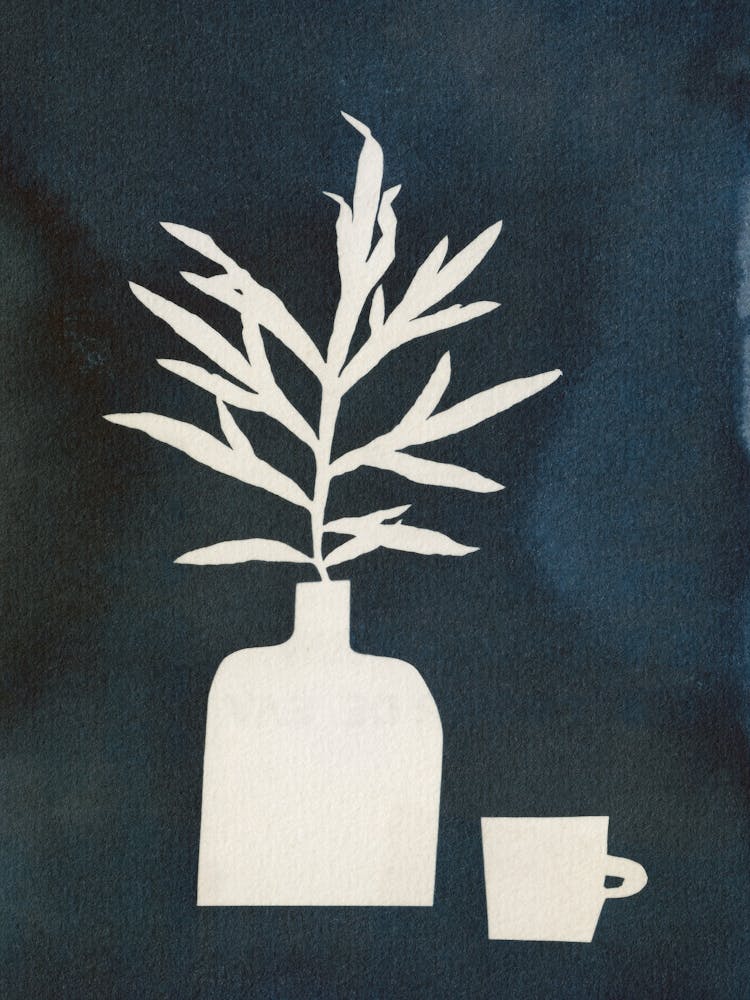 Cyanotype Still Life Studies #3