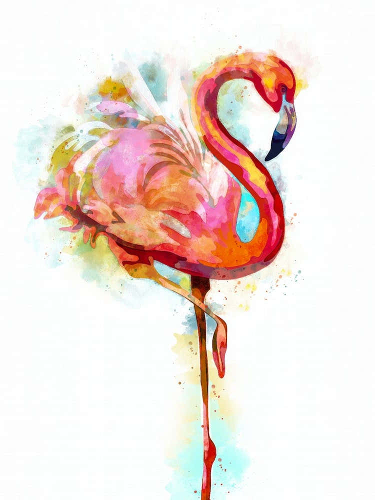 Flamingo Watercolor