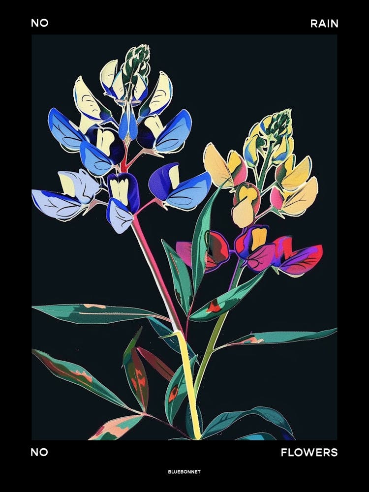 No Rain No Flowers Poster Bluebonnet 5