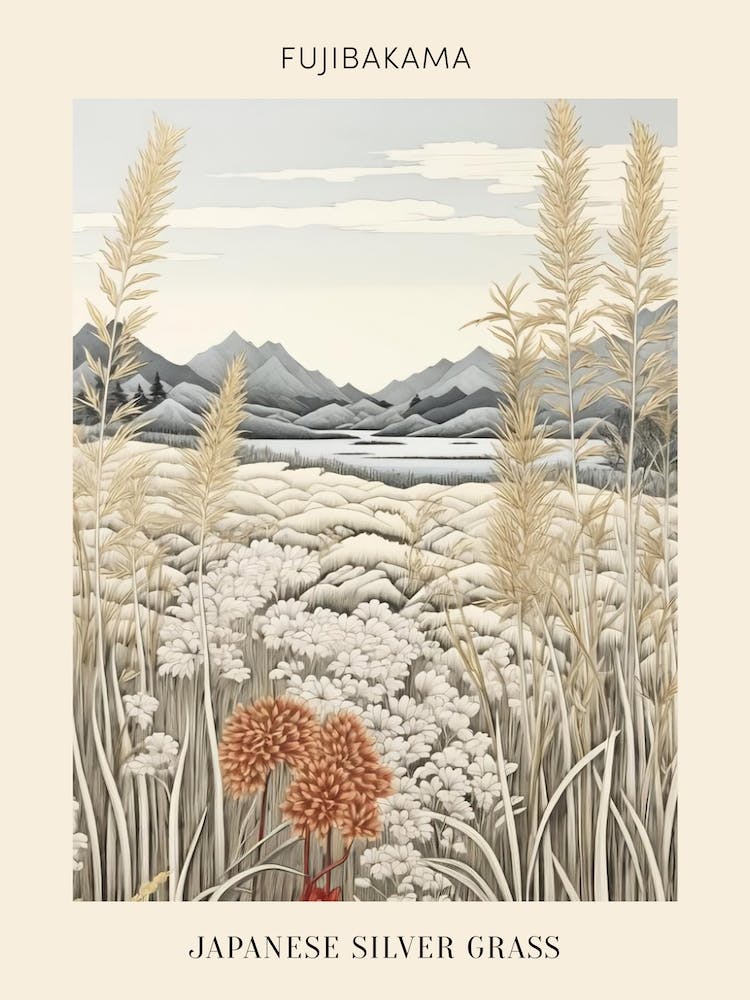 Fujibakama Japanese Silver Grass 3 Japanese Botanical Illustration Poster
