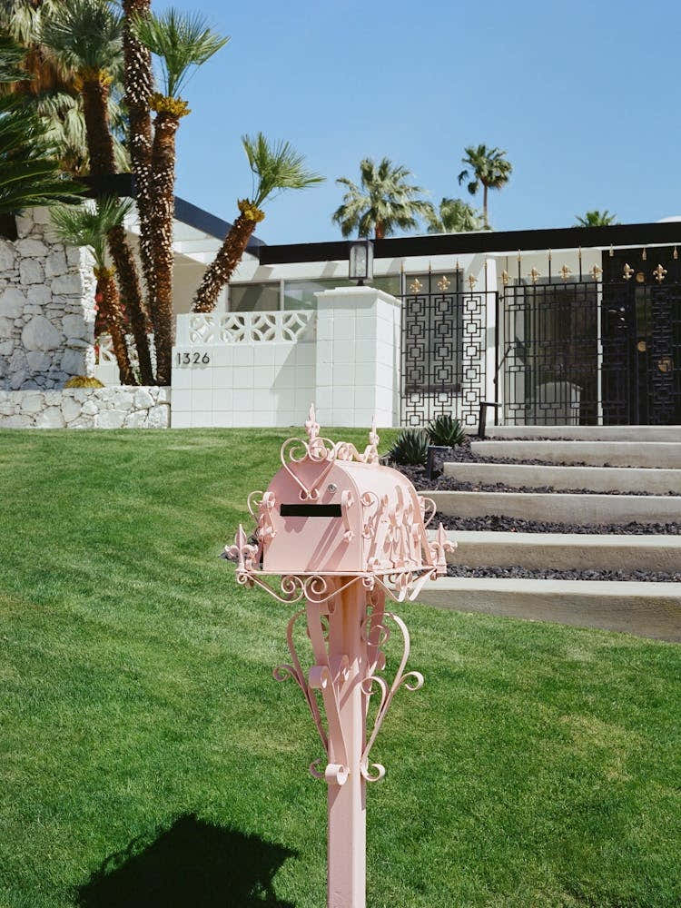 Pink Palm Springs II on Film