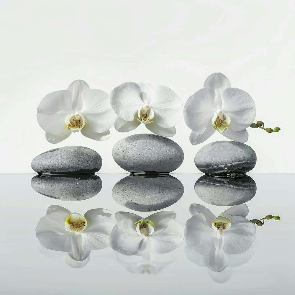 Three Orchids On Rocks