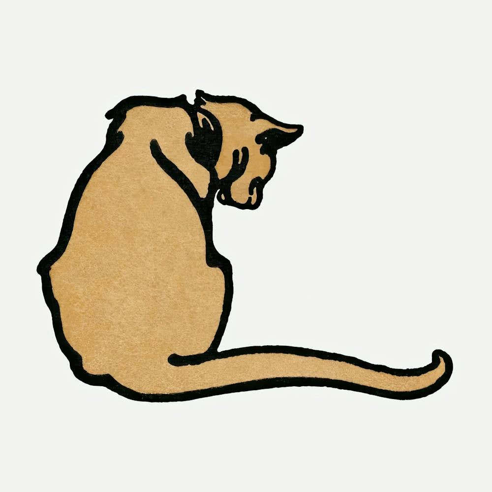 Brown Cat, Edward Penfield