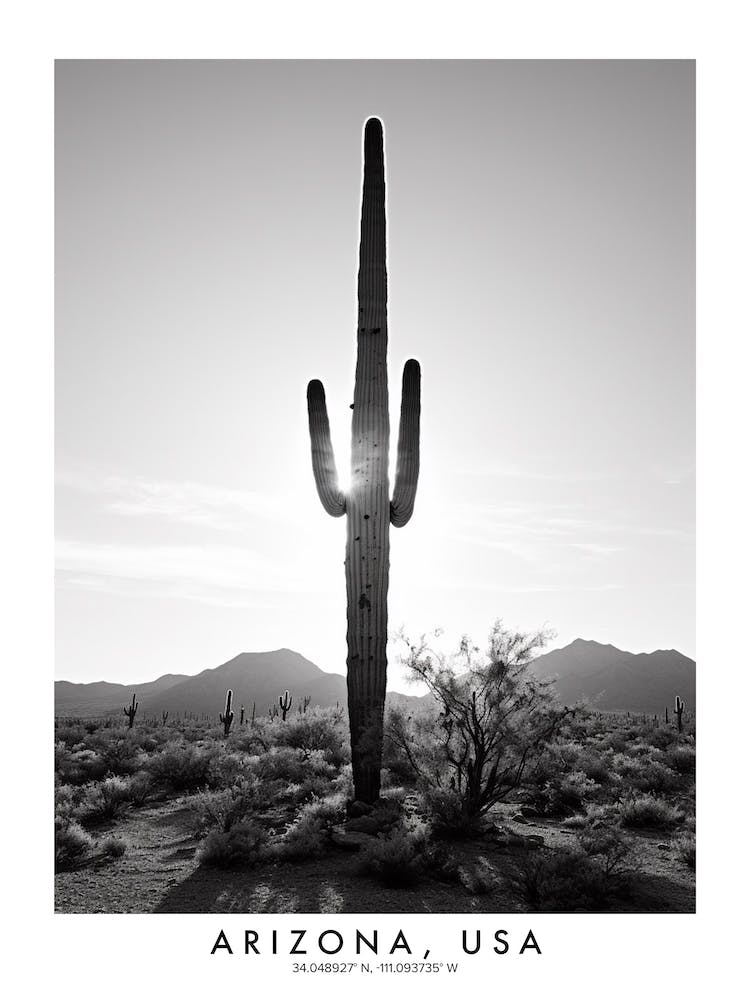 Poster Of Arizona, Usa, Black And White Analogue Photograph 3