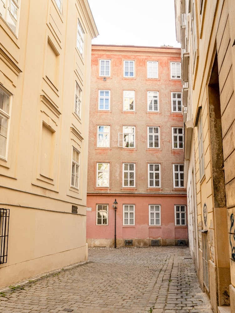 Alleyway In Vienna