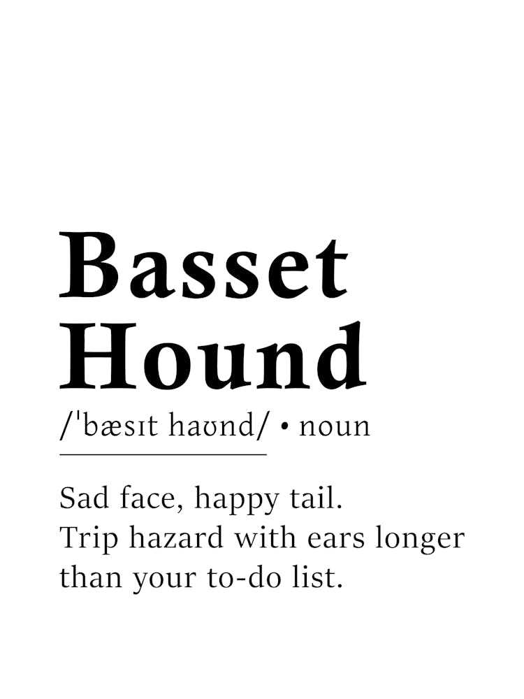 Basset Hound Definition Poster - Dictionary