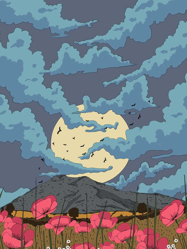 Poppies In The Meadow 1