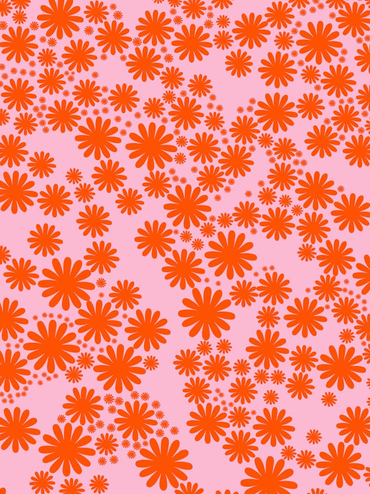Daisy Garden | 03 - Orange And Pink