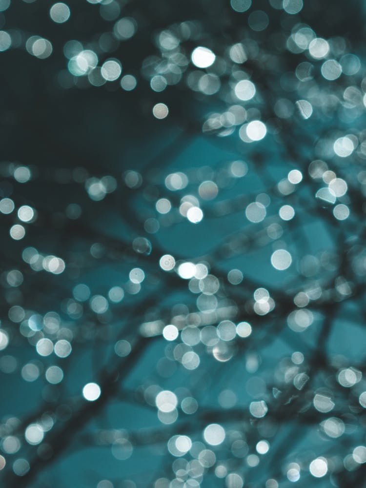 Midnight Christmas Sparkle 1